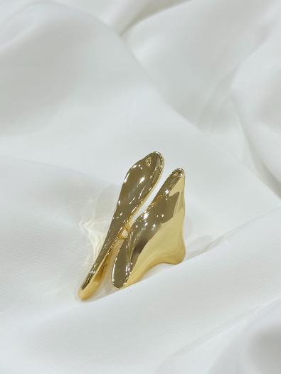 Кольцо MG-FW26-AC2421